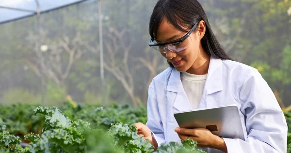 Mujer supervisando cultivos agrícolas para garantizar el cumplimiento de estándares de calidad alimentaria.