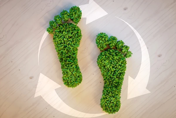 ¿Por qué es importante conocer nuestra huella de carbono?